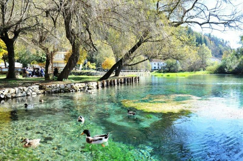 Olimpus Hotel Сора Екстериор снимка